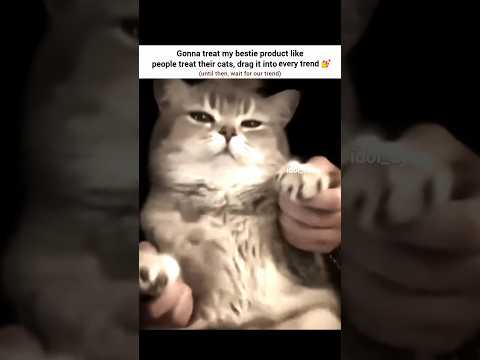 subscribe for our future trend!! #editzzz #trending #kpop #bts #bestie #cat #viral #shorts