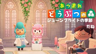 Switch2は当たっていませんが発売記念あつ森配信はします【 #起きてる横田 】