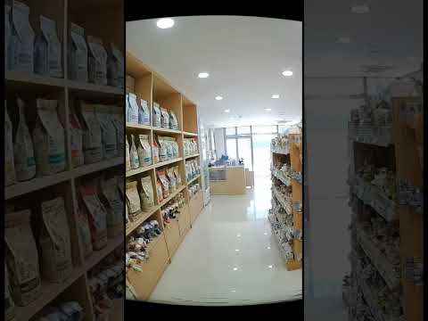 10초 만에 벌어진 냥이의 도주극!