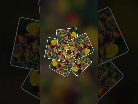 छठ पूजा का स्पेशल शॉर्ट वीडियो लाइक और सब्सक्राइब jy #chhath maa