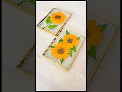 ひまわりはどうして太陽の方を向くの？？🌻#押し花 #押し花アート #ハンドメイド #pressedflowers #ひまわり#自由研究#shorts