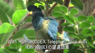 RAYNOX HDP-9000EX HD Telephoto conversion lens 1.8x(20x Zoom lens)