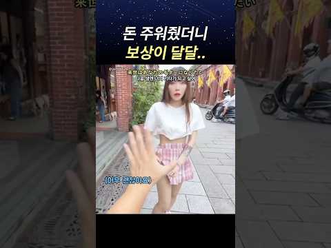 돈 주워줬더니 보상이 달달..#jpop #일본노래