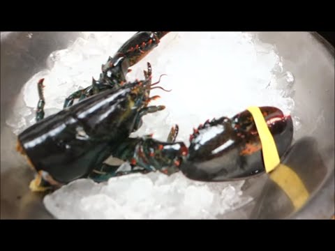 GRAPHIC: Live Maine Lobster For Sushi Roll Part 2 - How To Make Sushi Series - UCbULqc7U1mCHiVSCIkwEpxw