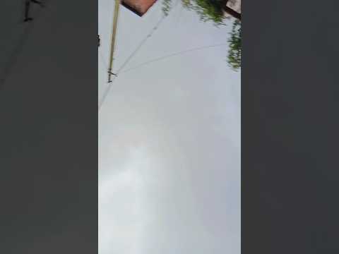 tumhare Siva...❤️😊#hindisong #lovesongs #trendingshorts #viralshort @Shradhyapal9742