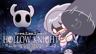 【Hollow Knight】WAITING FOR SILKSONG WITH MORE PANTHEON!