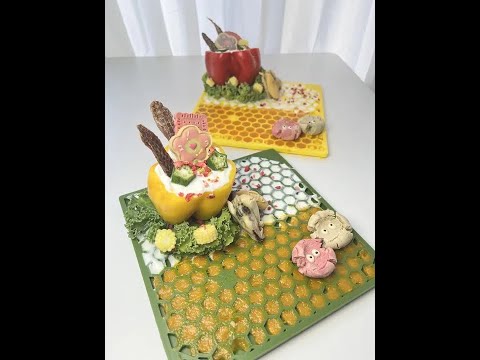 健康美味的下午茶来啰#狗吃的比我好系列 #自制狗饭 #干饭狗的日常 #不养狗不知道养狗的乐趣 #狗狗吃饭