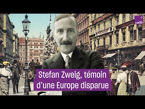 Vido de Stefan Zweig