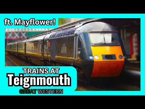 Trains at Teignmouth, GWML - 24.8.24