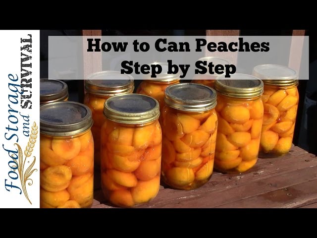 How to Preserve Peaches: The Ultimate Guide