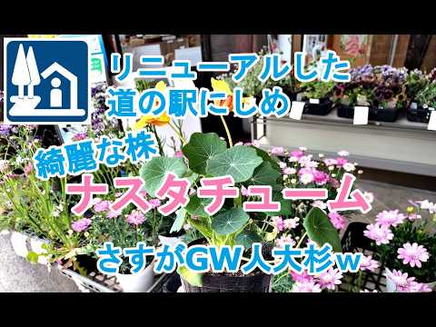 【ガーデニングDIY】リニューアルした道の駅にしめナスタチューム人大杉