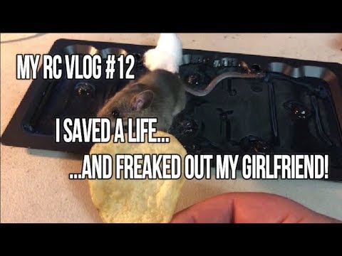 My RC Vlog #12 I Saved A Life...And FREAKED Out My Girlfriend!  - UCU33TAvzA-wgPMgcrdMVIdg