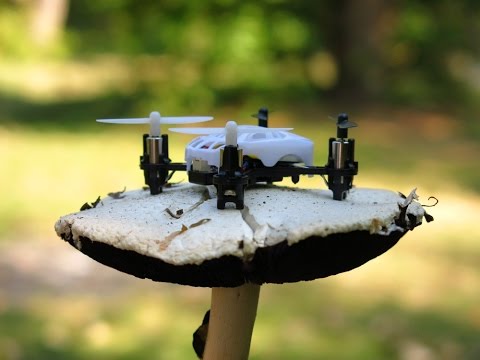 Eachine H1 RC квадрокоптер  тест на улице - UClNIy0huKTliO9scb3s6YhQ