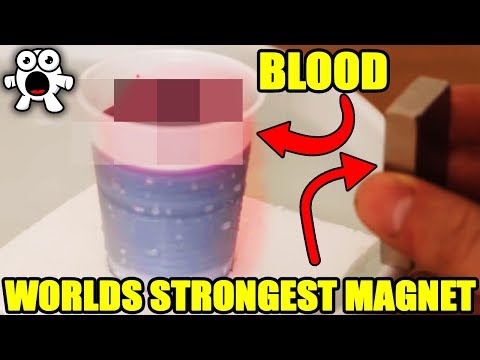 Top 10 CRAZIEST Magnet Tricks You Should Try - UCkQO3QsgTpNTsOw6ujimT5Q