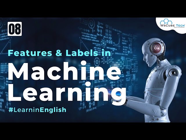 Machine Learning: Feature vs Label