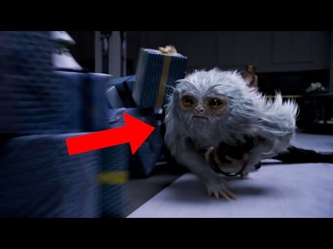 Identifying the Creatures of Fantastic Beasts And Where To Find Them Trailer - UCKy1dAqELo0zrOtPkf0eTMw