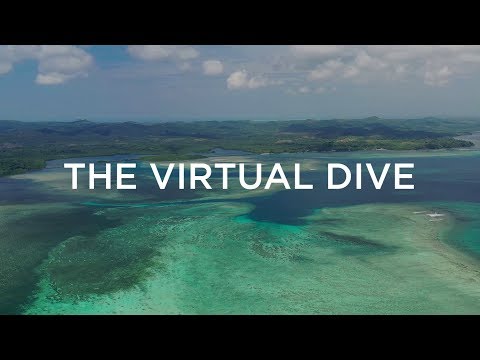 Saving the World’s Coral Reefs, One Virtual Dive at a Time - UCpvg0uZH-oxmCagOWJo9p9g