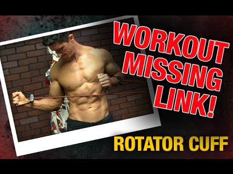 Rotator Cuff Exercises (Why EVERY WEIGHTLIFTER Needs Them!) - UCe0TLA0EsQbE-MjuHXevj2A