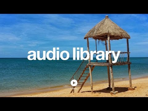 Dub Spirit - Jingle Punks (No Copyright Music) - UCht8qITGkBvXKsR1Byln-wA