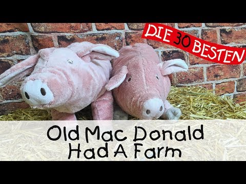 👩🏼 Old MacDonald Had A Farm - Singen, Tanzen und Bewegen || Kinderlieder