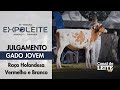 Expoleite Arapoti-PR - Julgamento do Gado Jovem da Raça Holandesa VB