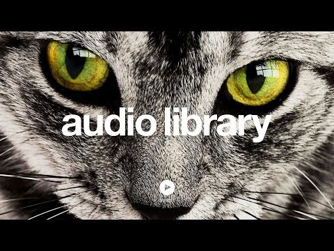 Up In My Jam (All Of A Sudden) - Kubbi (No Copyright Music) - UCht8qITGkBvXKsR1Byln-wA