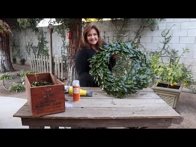 How to Preserve Magnolia Leaves