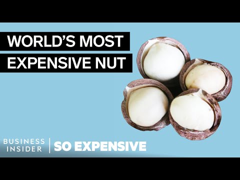 Why Macadamia Nuts Are So Expensive | So Expensive - UCcyq283he07B7_KUX07mmtA
