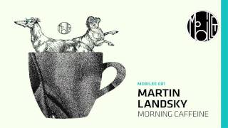 Martin Landsky - Ain´t Nobody´s - mobilee081