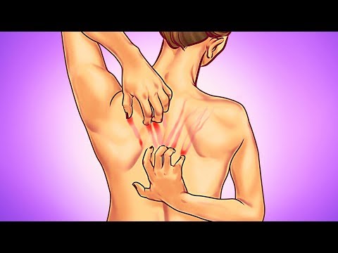 10 Warning Body Signs You Shouldn't Ignore - UC4rlAVgAK0SGk-yTfe48Qpw