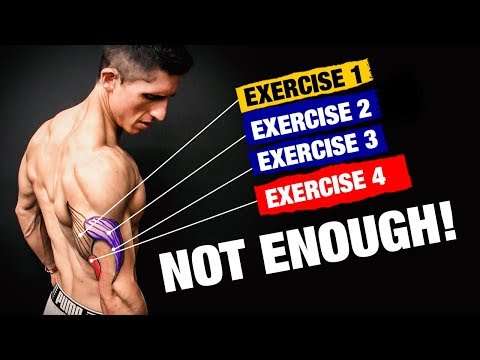 The PERFECT Triceps Workout (Sets and Reps Included) - UCe0TLA0EsQbE-MjuHXevj2A