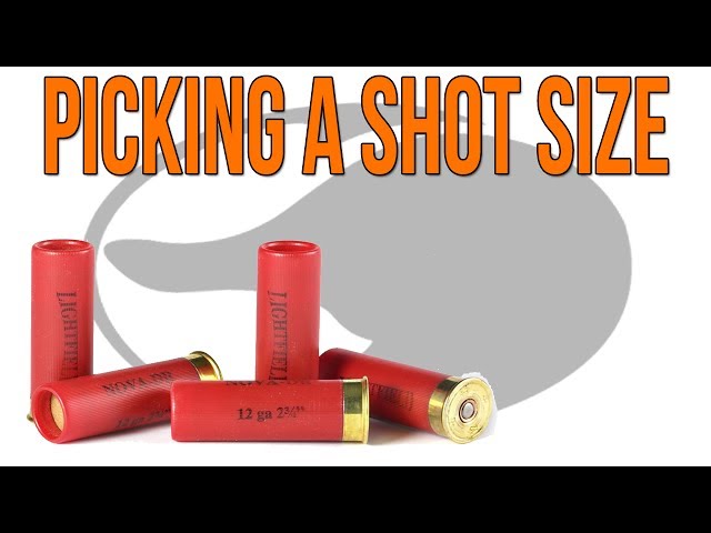 What Shot Size Should You Use for Ducks?