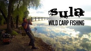 Sula - Wild Carp Fishing. Part #1