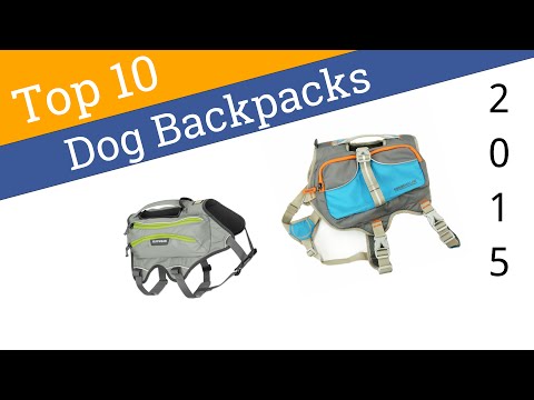 10 Best Dog Backpacks 2015 - UCXAHpX2xDhmjqtA-ANgsGmw