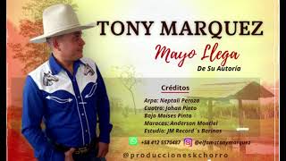 Tony Marquez  -  Mayo Llega