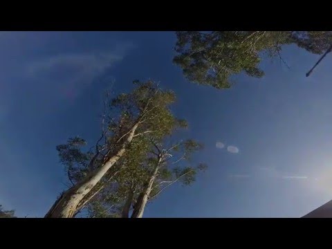 FPV - chillin' - UC_ln1TA-w4bahRI7yN0TcJA