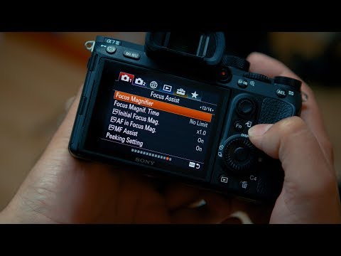 Sony A7III is it Worth it over Canon? // Mini Review - UCXzySgo3V9KysSfELFLMAeA