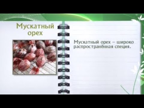 Кулинарная энциклопедия - Мускатный орех - UC7XBjhXnmmXFsxmnys9PmDQ