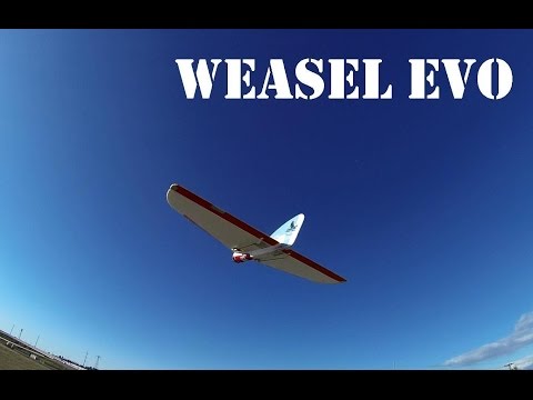 Weasel Evo - UCArUHW6JejplPvXW39ua-hQ