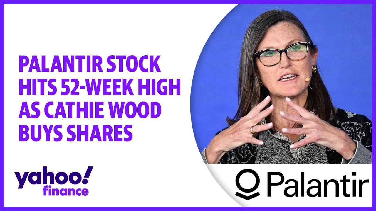 Palantir stock hits 52-week high as Cathie Wood buys shares