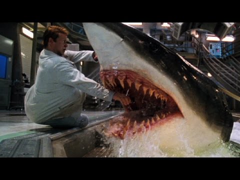 Top 10 Shark Movies - UCaWd5_7JhbQBe4dknZhsHJg