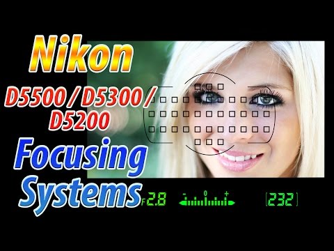 Nikon D5500 / D5300 / D5200 Focus Square Tutorial | How to Focus Training Video - UCFIdYs7n4i8FKEb0aYhOucA