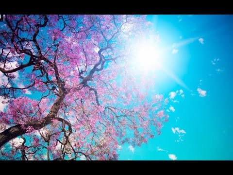 Beautiful SPRING RELAXATION Lounge Del Mar Chill Out Mix - UCqglgyk8g84CMLzPuZpzxhQ