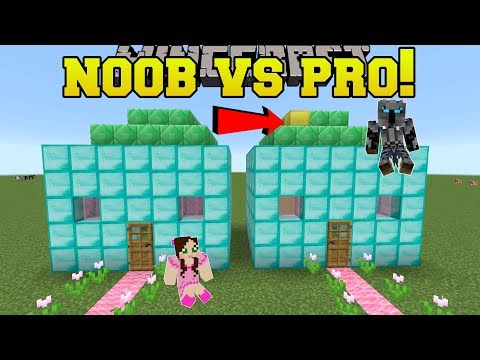 Minecraft: NOOB VS PRO!!! - SPOT THE DIFFERENCE!! - Mini-Game - UCpGdL9Sn3Q5YWUH2DVUW1Ug