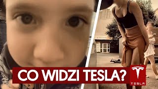 Na drodze - TeslaCAM: Ludzie vs Tesla. Czy Tesla wzbudza ciekawość w Polsce?