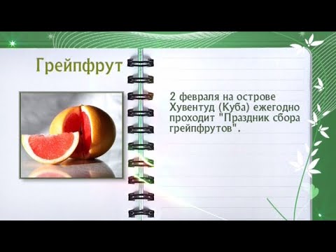 Кулинарная энциклопедия - Грейпфрут - Часть 1 - UC7XBjhXnmmXFsxmnys9PmDQ