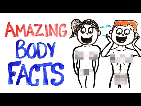Why Your Body Is AMAZING! - UCC552Sd-3nyi_tk2BudLUzA