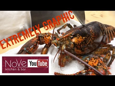 EXTREMELY GRAPHIC: Lobster Cantonese (Chinese Inspired) - UCbULqc7U1mCHiVSCIkwEpxw