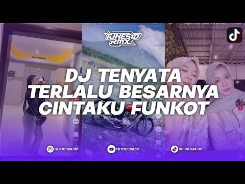 DJ TERNYATA TERLALU BESARNYA CINTAKU, DJ TERNYATA RUDIATH RB FUNKOT REMIX BY PUTU PANGESTU