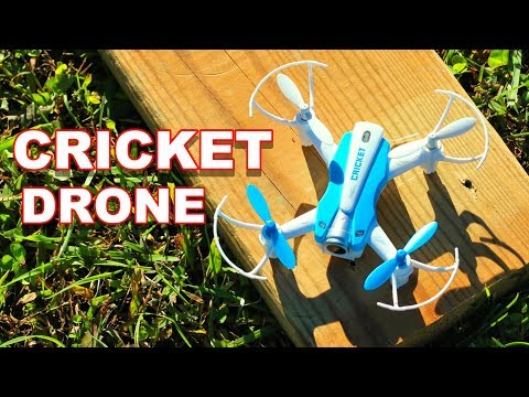 Fun Little $50 Camera Drone Easy To Fly! - Cheerson CX-17 CRICKET - TheRcSaylors - UCYWhRC3xtD_acDIZdr53huA